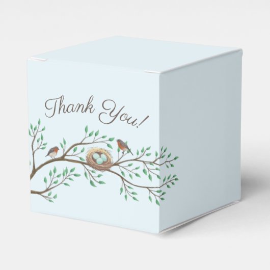 Robin Birds Nest Eggs Spring Baby Dusche Geschenkschachtel (Vorderseite)