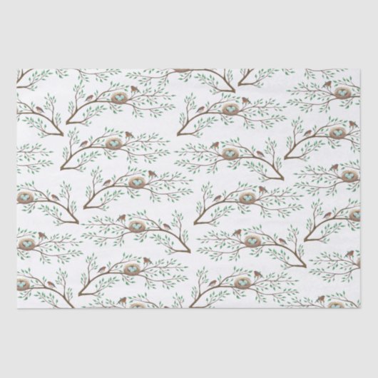 Robin Birds Nest Eggs Spring Baby Dusche Seidenpapier (Vorderseite)