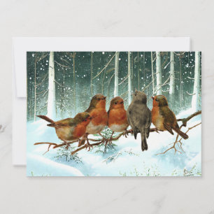Robin Birds on Branch Snow Forest Winter Weihnacht Feiertagskarte