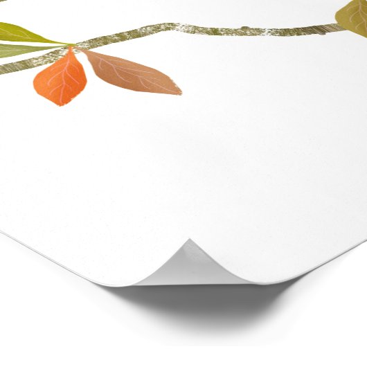 Robin Birds Poster Print (Ecke)