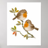 Robin Birds Poster Print (Vorne)