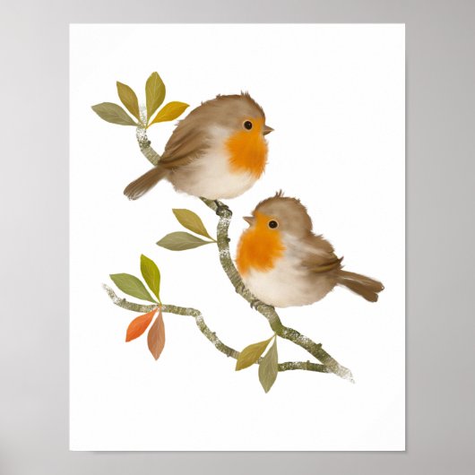 Robin Birds Poster Print (Vorne)