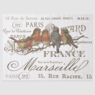 Robin Birds Vintage französische Stadtbezeichnunge Seidenpapier