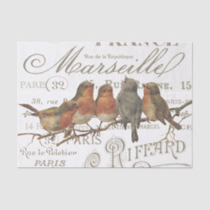 Robin Birds Vintages Blatt für französische Stadtb Seidenpapier