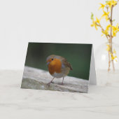Robin Birthday Card Karte (Gelbe Blume)
