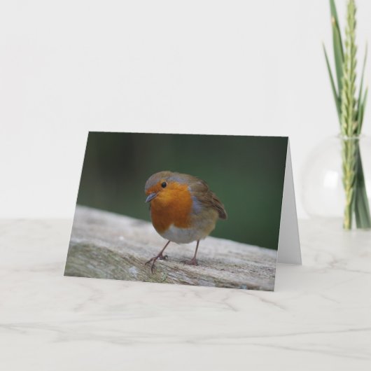 Robin Birthday Card Karte (Vorderseite)