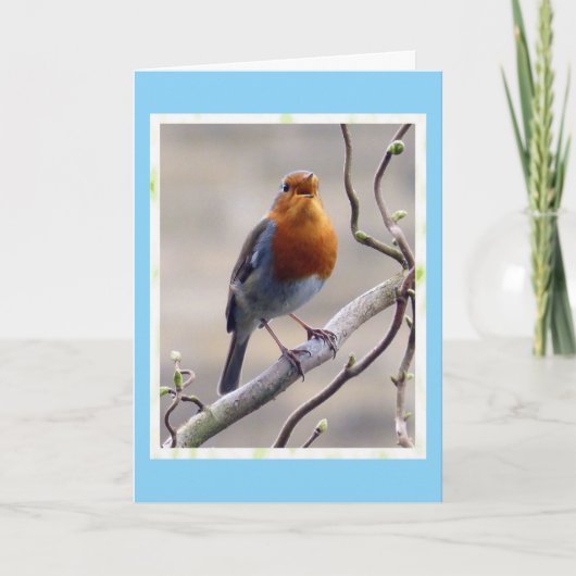 Robin Birthday Card singen Dankeskarte (Vorderseite)