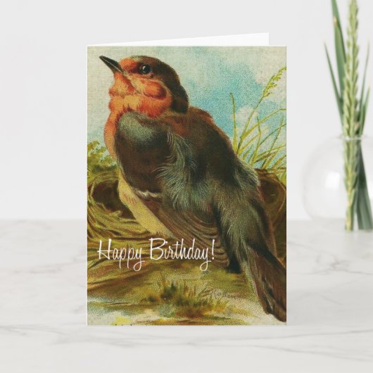 Robin Birthday Karte (Vorderseite)