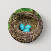 Robin Blue Eggs Button (Vorderseite)