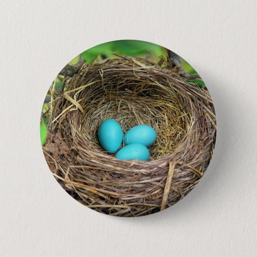 Robin Blue Eggs Button (Vorderseite)