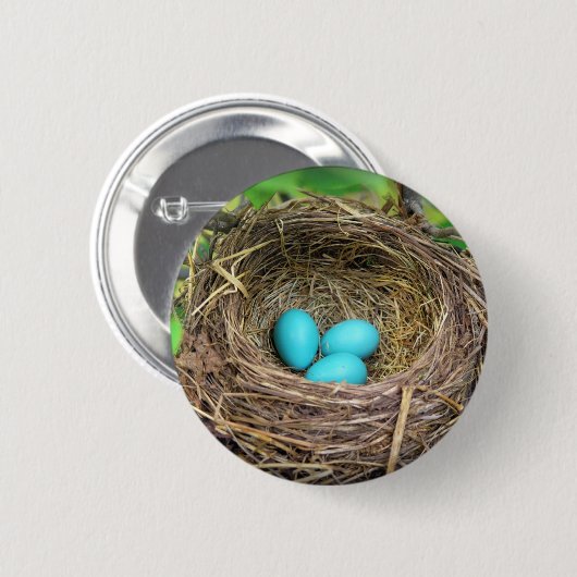 Robin Blue Eggs Button (Vorne & Hinten)