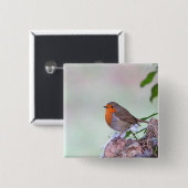 Robin Button (Vorne & Hinten)