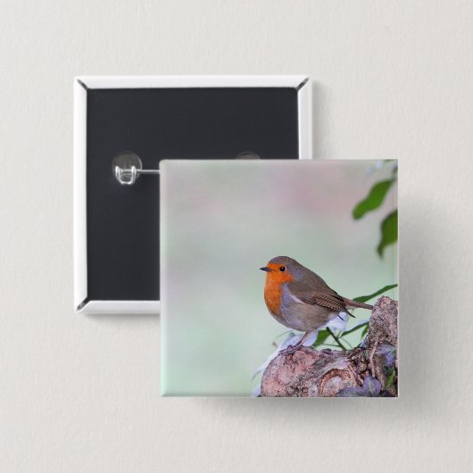 Robin Button (Vorne & Hinten)