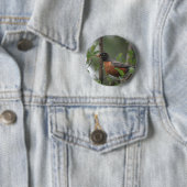 Robin Button (Beispiel)