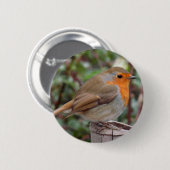 Robin Button (Vorne & Hinten)