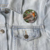 Robin Button (Beispiel)