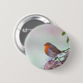 Robin Button (Vorne & Hinten)