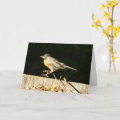 Robin Card Karte (Gelbe Blume)
