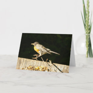 Robin Card Karte