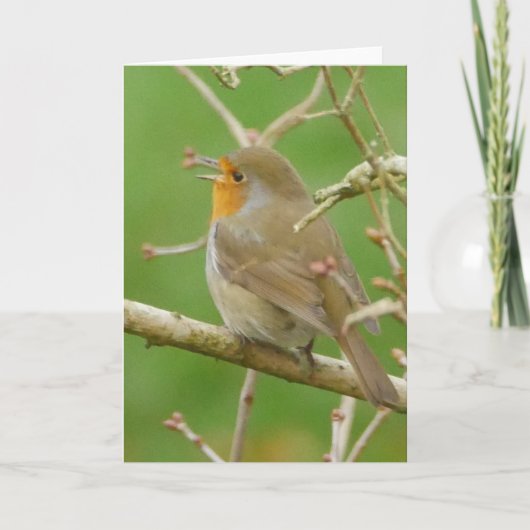 Robin Card singen Karte (Vorderseite)
