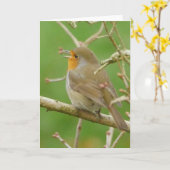 Robin Card singen Karte (Gelbe Blume)