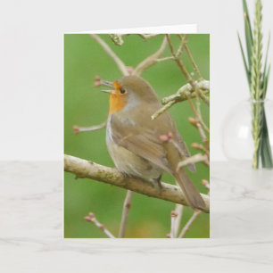 Robin Card singen Karte