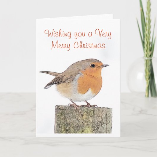 Robin Christmas Card Feiertagskarte (Vorderseite)