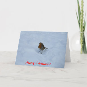 Robin Christmas Cards Feiertagskarte