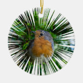 Robin Christmas Tree Ornament (Vorne)