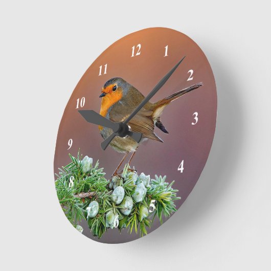 Robin Clock Runde Wanduhr (Winkel)