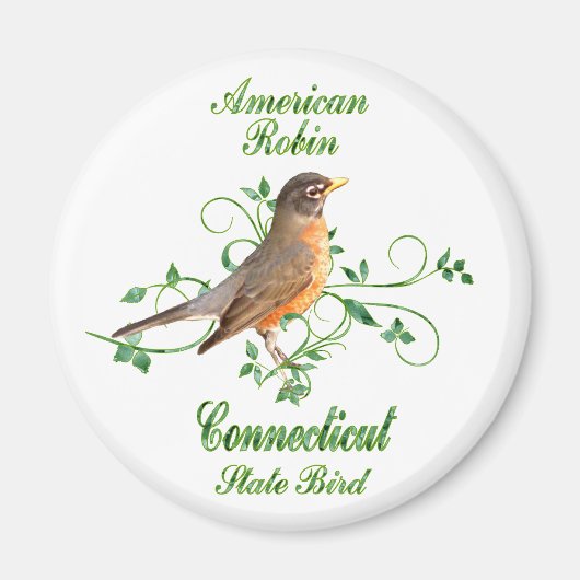 Robin Connecticut Staat Bird Magnet (Vorne)