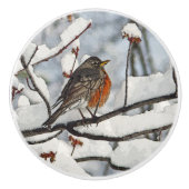 ROBIN, DAS AUF DER SCHNEE-BRANCH-KERAMIK KNOB/PULL KERAMIKKNAUF (Vorderseite)