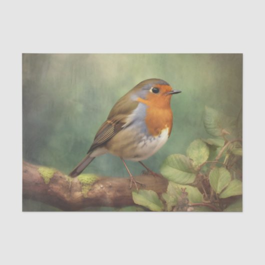 ROBIN Dekorpapier Seidenpapier (Vorderseite)