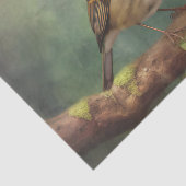 ROBIN Dekorpapier Seidenpapier (Ausschnitt)