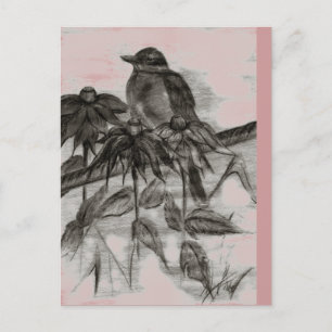 Robin Dusk Postcard Postkarte