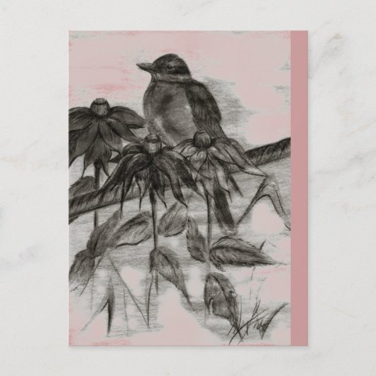 Robin Dusk Postcard Postkarte (Vorderseite)