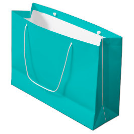 Robin Egg Blue Solid Color | Classic | elegant Große Geschenktüte