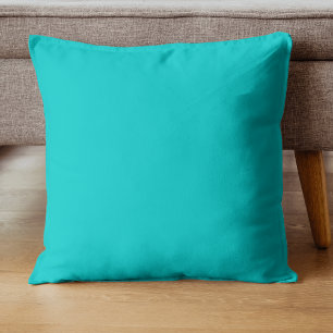 Robin Egg Blue Solid Color Classic elegant Kissen