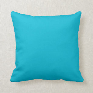 Robin Egg Blue Throw Kissen