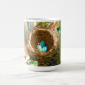 Robin eggs unhatched in einem Hinterhofbaumnest Kaffeetasse (Mittel)