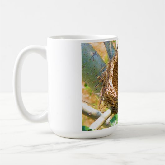 Robin eggs unhatched in einem Hinterhofbaumnest Kaffeetasse (Links)