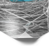 Robin Eier Fotodruck (Ecke)