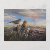 Robin Einladungspostkarte (Vorderseite)