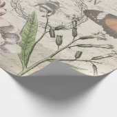 Robin Elegant Bird Butterfly Französische Kunst Geschenkpapier (Ecke)