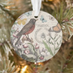 Robin Elegant Bird Butterfly Französische Kunst Ornament<br><div class="desc">Diese hübsche Vogel- und Schmetterlingscollage basiert auf Kunstwerken aus der Viktorianischen Zeit,  in einem schicken Design mit Blume,  einem Vogelkäfig und antiken Schriften,  kombiniert mit einem weichen Hintergrund.</div>