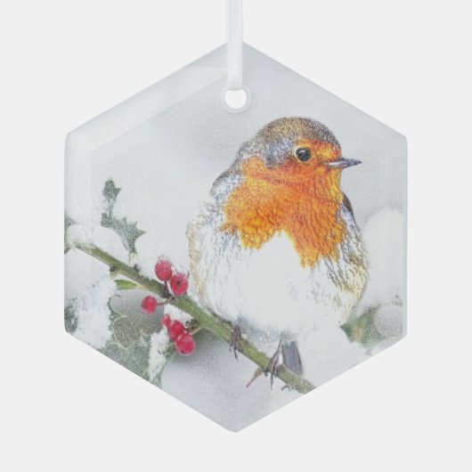 Robin English Bird Nature Art Ornament Aus Glas (Vorderseite)