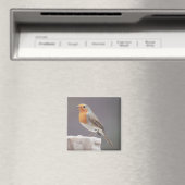 Robin - Erithacus rubecula Magnet (In Situ (Geschirrspüler))