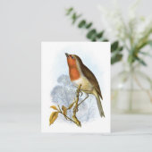 Robin - Erithacus rubecula Postkarte (Stehend Vorderseite)