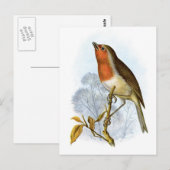 Robin - Erithacus rubecula Postkarte (Vorne/Hinten)