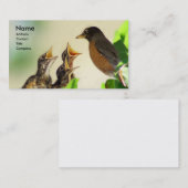 Robin-Familie Visitenkarte (Vorne/Hinten)